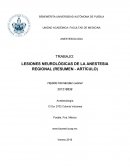 LESIONES NEUROLÓGICAS DE LA ANESTESIA REGIONAL (RESUMEN - ARTÍCULO)