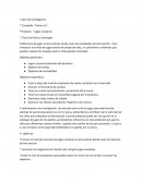 Inventario de mercado