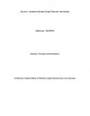 Desarrollado la filosofía organizacional de una empresa