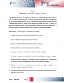 Tarea 1 Riesgos por el manejo de la estructura de capital