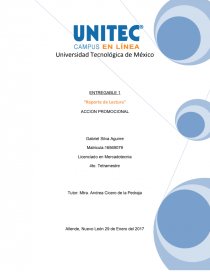 “Reporte de Lectura ACCION PROMOCIONAL. Página 1