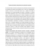 Fuentes del derecho internacional de los derechos humanos