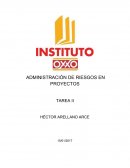 Administración de riesgos en proyectos