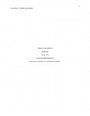 Propuesta mercadeo. Paddleboad & Kayak Rental