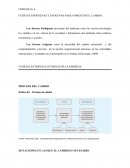 FUERZAS ENDOGENAS Y EXOGENAS PARA FOMENTAR EL CAMBIO: