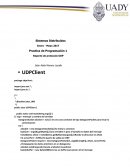 Reporte de Analisis Protocolo UDP