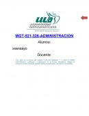 O	ensayo en el que expliques el efecto de las percepciones y del entorno competitivo