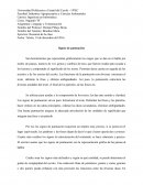 Ensayo Signos de puntuación