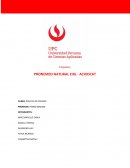 Politica de precios Pronemed Natural