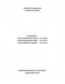INFORME DE LABORATORIO BALANZA DE TORSION