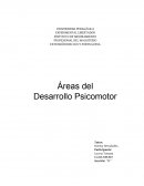 Areas del desarrollo psicomotor