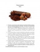 Producto potencial Cacao