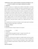 Analisis Multitemporal Arenal Chimborazo