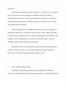 Análisis Mercadeo Sportline