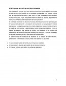 INTRODUCCION DEL SISTEMA RECURSOS HUMANOS.
