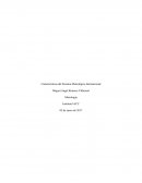 Control 2 metrologia