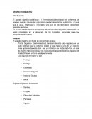 APARATO DIGESTIVO. Órganos Digestivos Accesorios