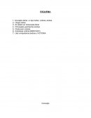 Historia de Venezuela. El carbon.