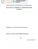 Métodos de Evaluación de Control Interno . Procedimiento para realizar una auditoría