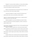 Conceptos mínimos Sociedad – Economía