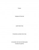 Inteligencia emocional en nuestra vida personal y laboral