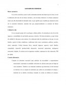 GLOSARIO DE TERMINOS. Bienes suntuarios