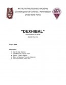 Plan de administración de ventas para Dexhibal S.A. de C.V.: Estrategias y proyecciones