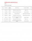 Modelo de entrevista de profundidad