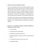 ¿Qué es lo que más le ha impactado del video?