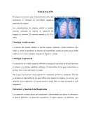 FACTORES QUE AFECTAN LA OXIGENACIÓN