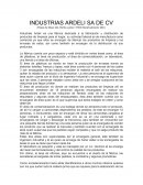 INDUSTRIAS ARDELI SA DE CV