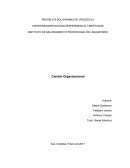 Informe Cambio Organizacional