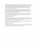 Propiedades de las cargas