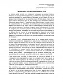 LA PERSPECTIVA INTERINDIVIDUALISTA