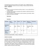 Ciancia basica 1