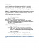 Bioseguridad como seguridad de la vida o asegurarse de la vida