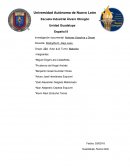 Investigación documental: Motores Gasolina y Diesel