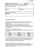 Tecnologias de información para los negocios. Liderazgo de bajo costo