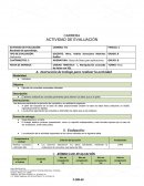 Telmex. Instrucción de trabajo para realizar la actividad