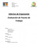 Informe de Ergonomía Evaluación de Puesto de Trabajo