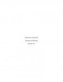 Distribución y Promoción Estrategias de Marketing