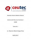 Importancia de Recursos Humanos en una organización.