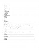 Procesos de la planta de embutidos Agro Carne