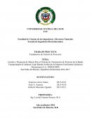 Gestión y Propuesta de Mejora Para el Sistema de Transmisión de Potencia de la Banda Transportadora (Conductor Lado Bomba Arriba) de la Empresa Fertilizantes Químicos Dominicanos S.A.