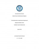 Proyecto Final del Curso de Teoría Administrativa y Comportamiento Organizacional