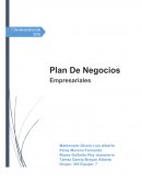 Plan de negocios. Cargadores Artex