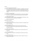 Que es la perspectiva intermedia del CO?