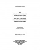 CULTIVO DE PIÑA Y GUADUA