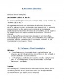 Caso CODICA S. de R.L