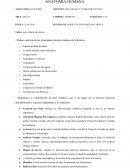 TAREA AUTONOMA UNIDAD: GENERALIDADES DE LA ANATOMIA HUMANA. ANATOMIA HUMANA